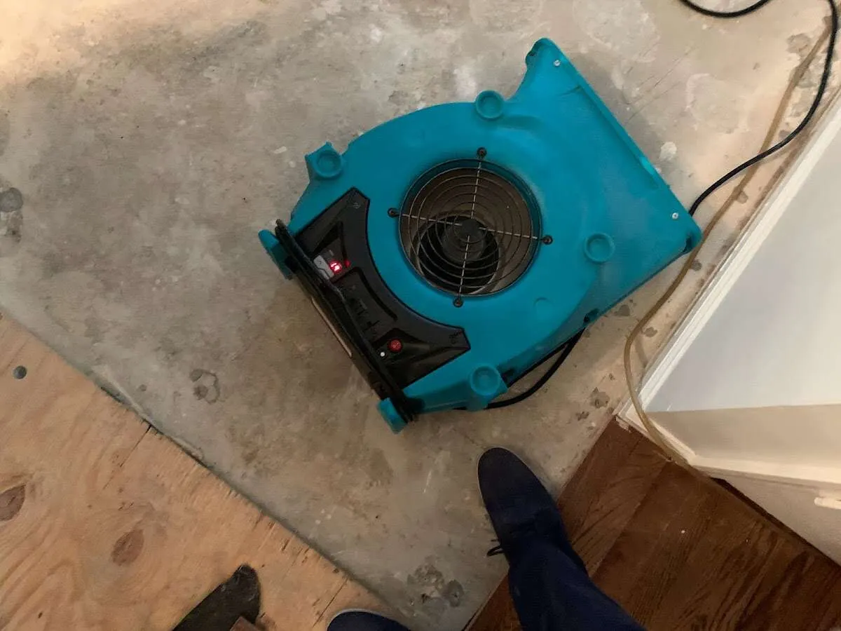 Air mover drying subfloor during Commercial Water Damage Restoration in Seminole